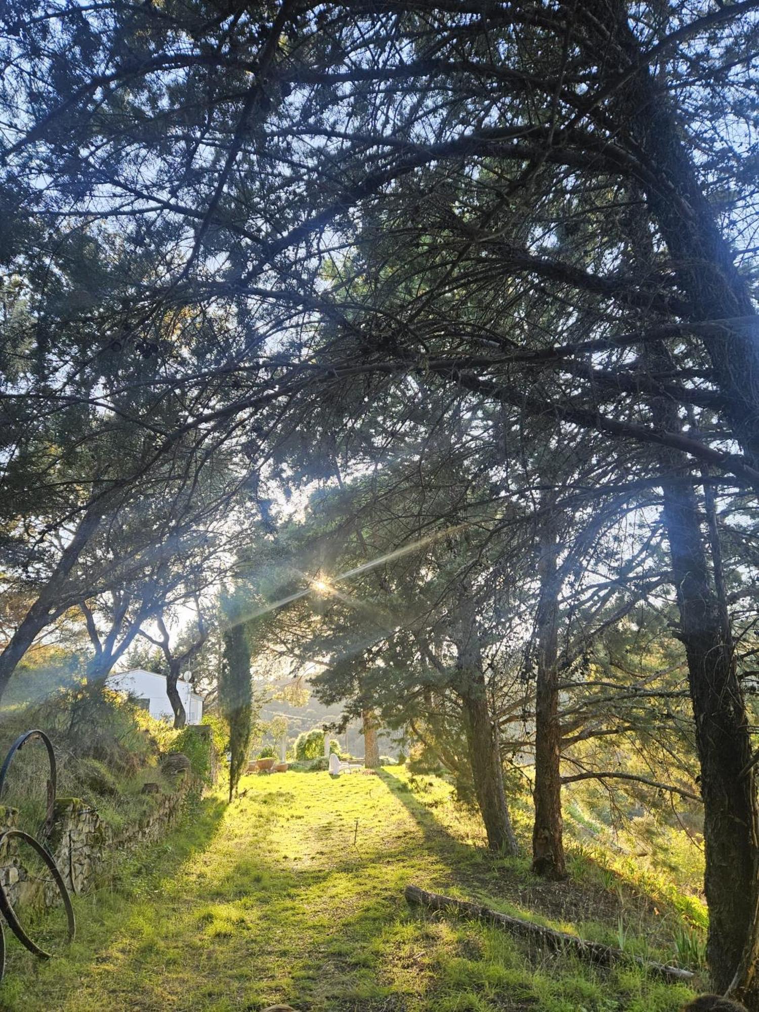 La Fregeneda Casa Rural Camino De Hierro I Y II מראה חיצוני תמונה