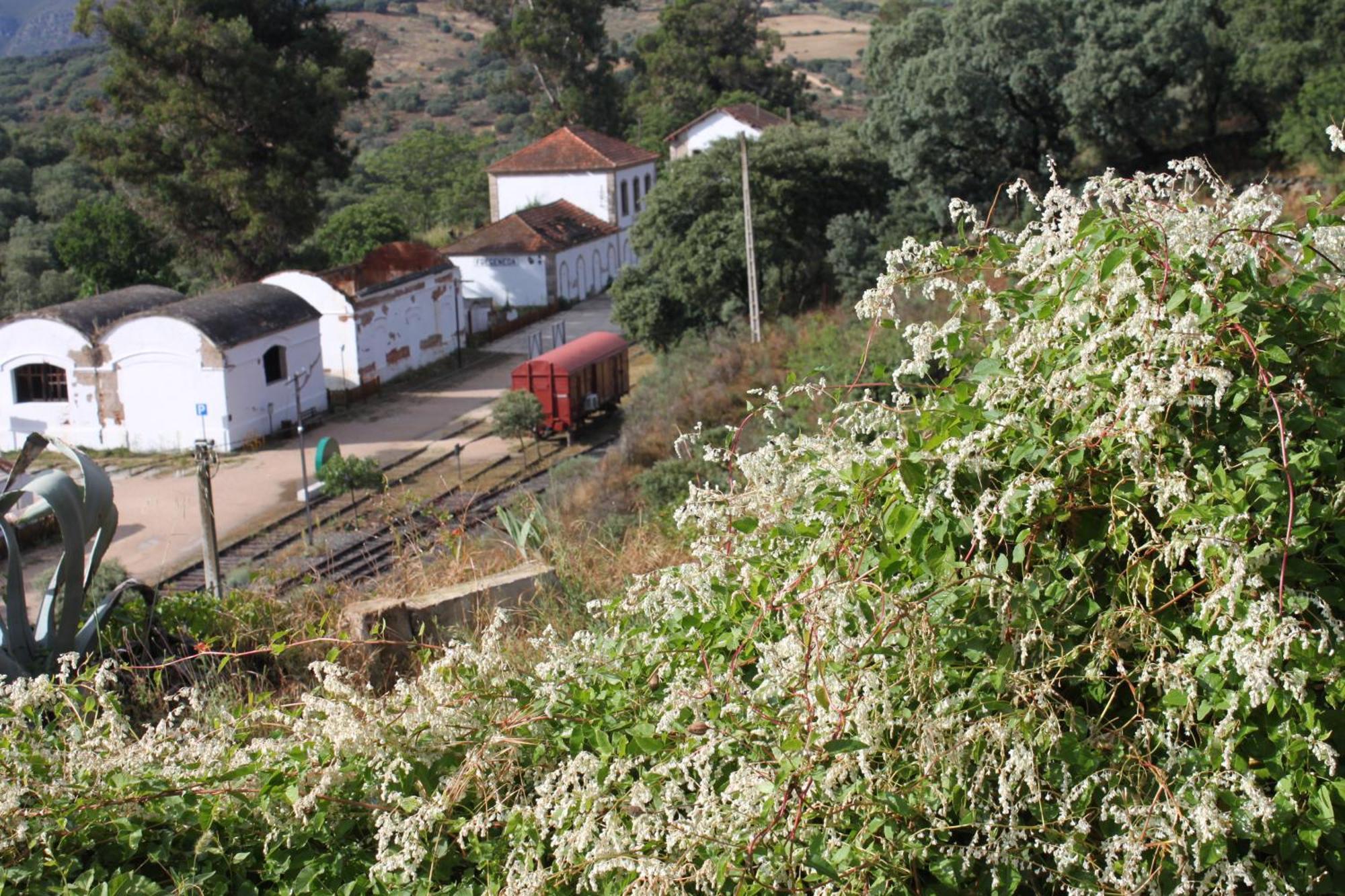 La Fregeneda Casa Rural Camino De Hierro I Y II מראה חיצוני תמונה