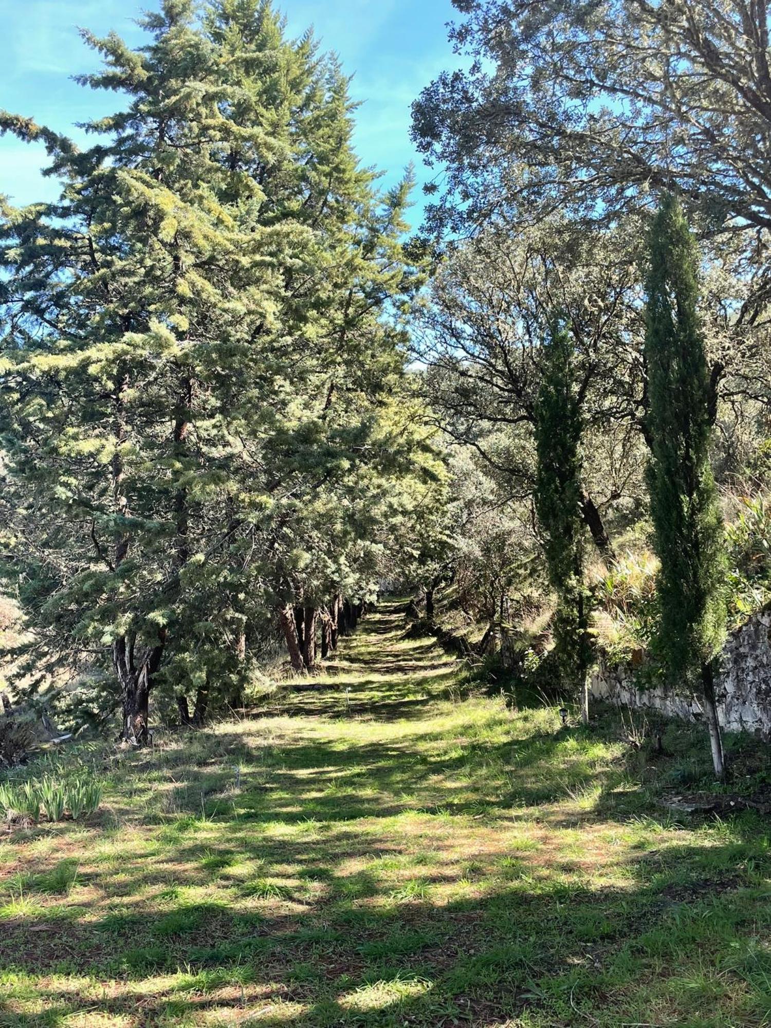 La Fregeneda Casa Rural Camino De Hierro I Y II מראה חיצוני תמונה